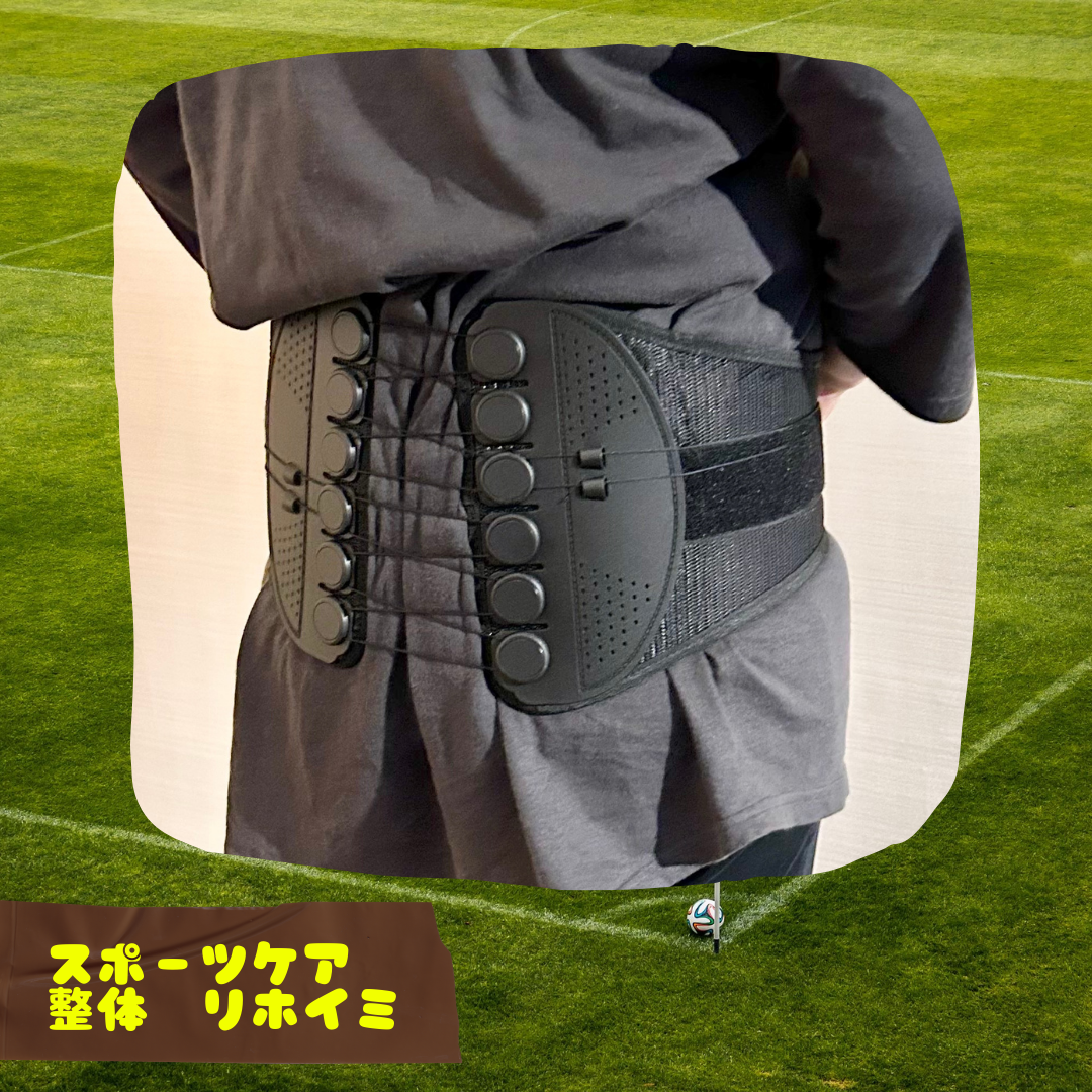 ガードナーベルトのご紹介